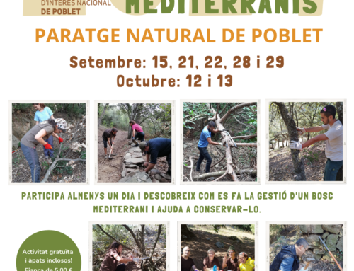 S’obren les inscripcions per participar a la 7a edició del Voluntariat Forestal Boscos Mediterranis del Paratge Natural de Poblet