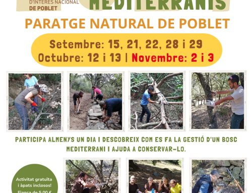 S’amplien els dies del voluntariat forestal al Paratge Natural de Poblet