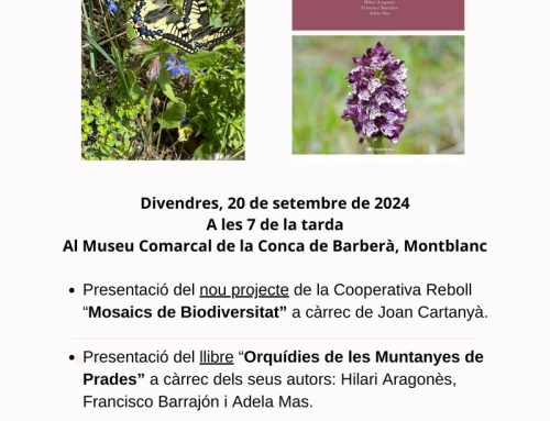 Presentació del llibre ‘Orquídies de les Muntanyes de Prades’ i del nou projecte de la Cooperativa Reboll ‘Mosaics de Biodiversitat’