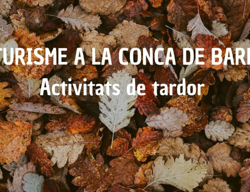 3 activitats ecoturístiques per aquesta tardor a la Conca de Barberà!