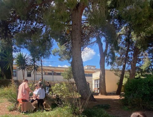 Mosaics de Biodiversitat al pati de l’escola