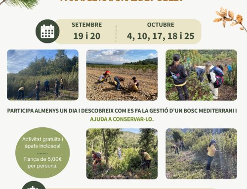 OBERTES LES INSCRIPCIONS PER PARTICIPAR EN EL VOLUNTARIAT FORESTAL AL PNIN DE POBLET