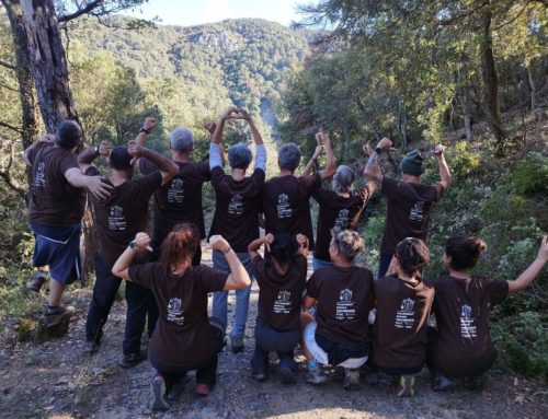 Un èxit pel voluntariat boscos mediterranis al Paratge Natural de Poblet, organitzat per la Cooperativa Reboll